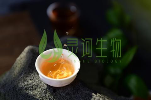 牛蒡茶的功效和作用 牛蒡茶的功效和作用有哪些